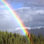 Representing the passing of a pet with an image of a rainbow. 